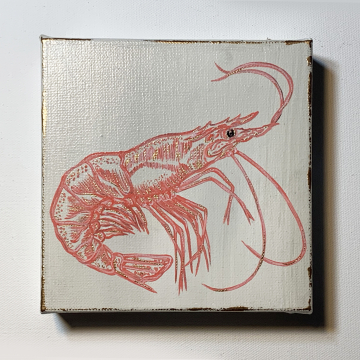 Shrimp, hand painted, pink and coral, 6x6